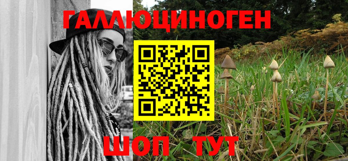 Галлюциногенные грибы Psilocybe Дзержинский