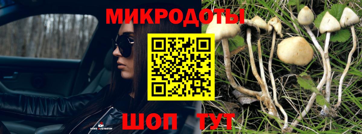 Псилоцибиновые грибы мицелий  Вход с VPN  купить наркоту  Дзержинский 